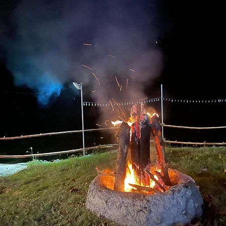 מלון Dauis Jush Native And Glamping מראה חיצוני תמונה